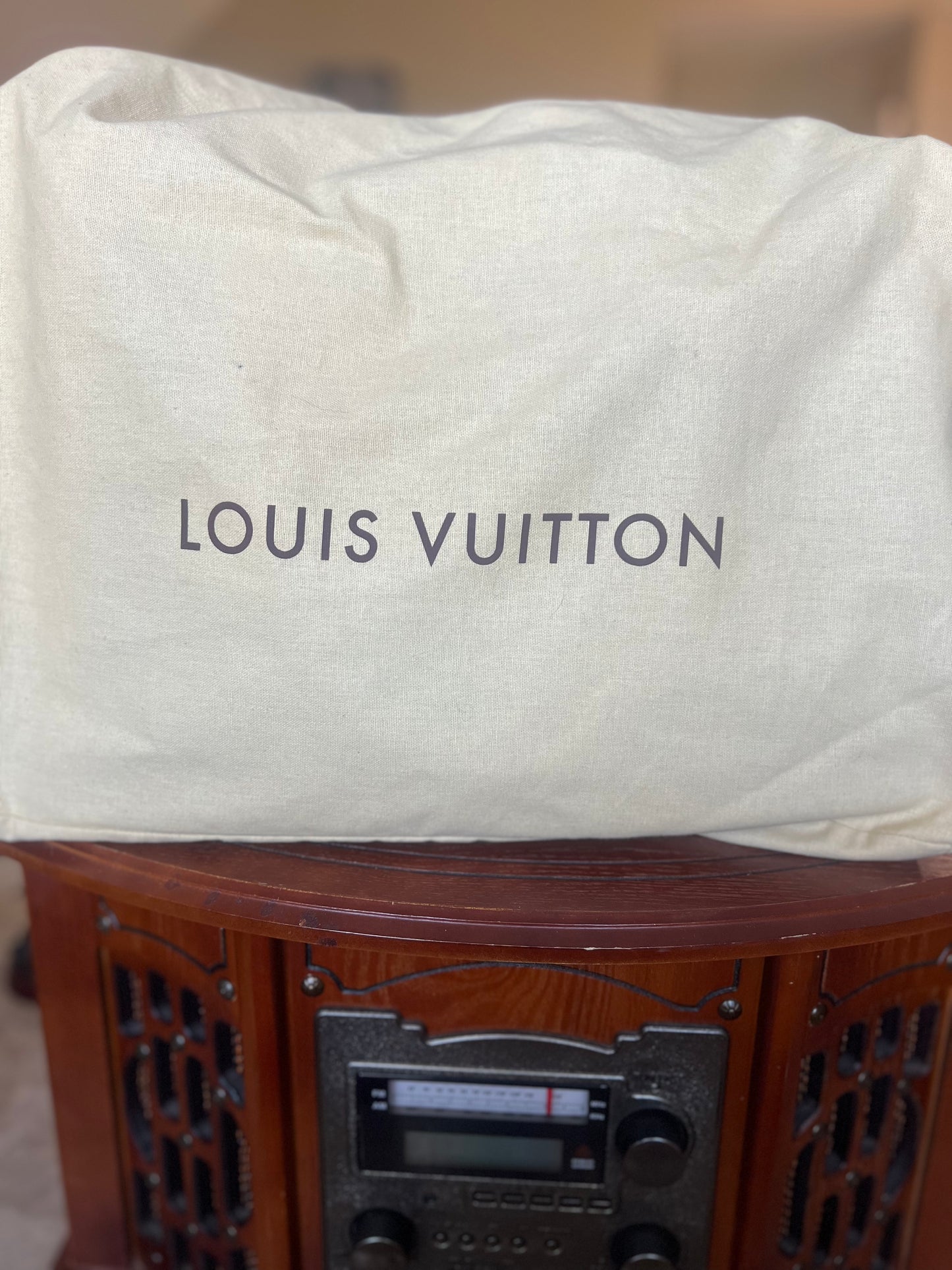 Louis Vuitton Cabas Neo MM Vinyl