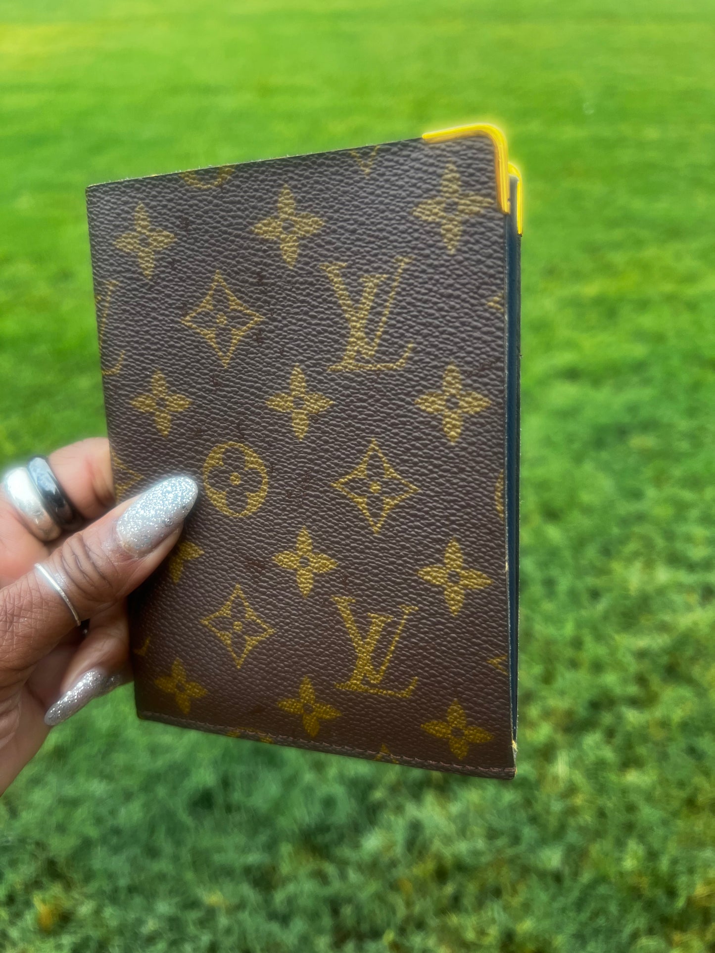 Louis Vuitton Passport Holder