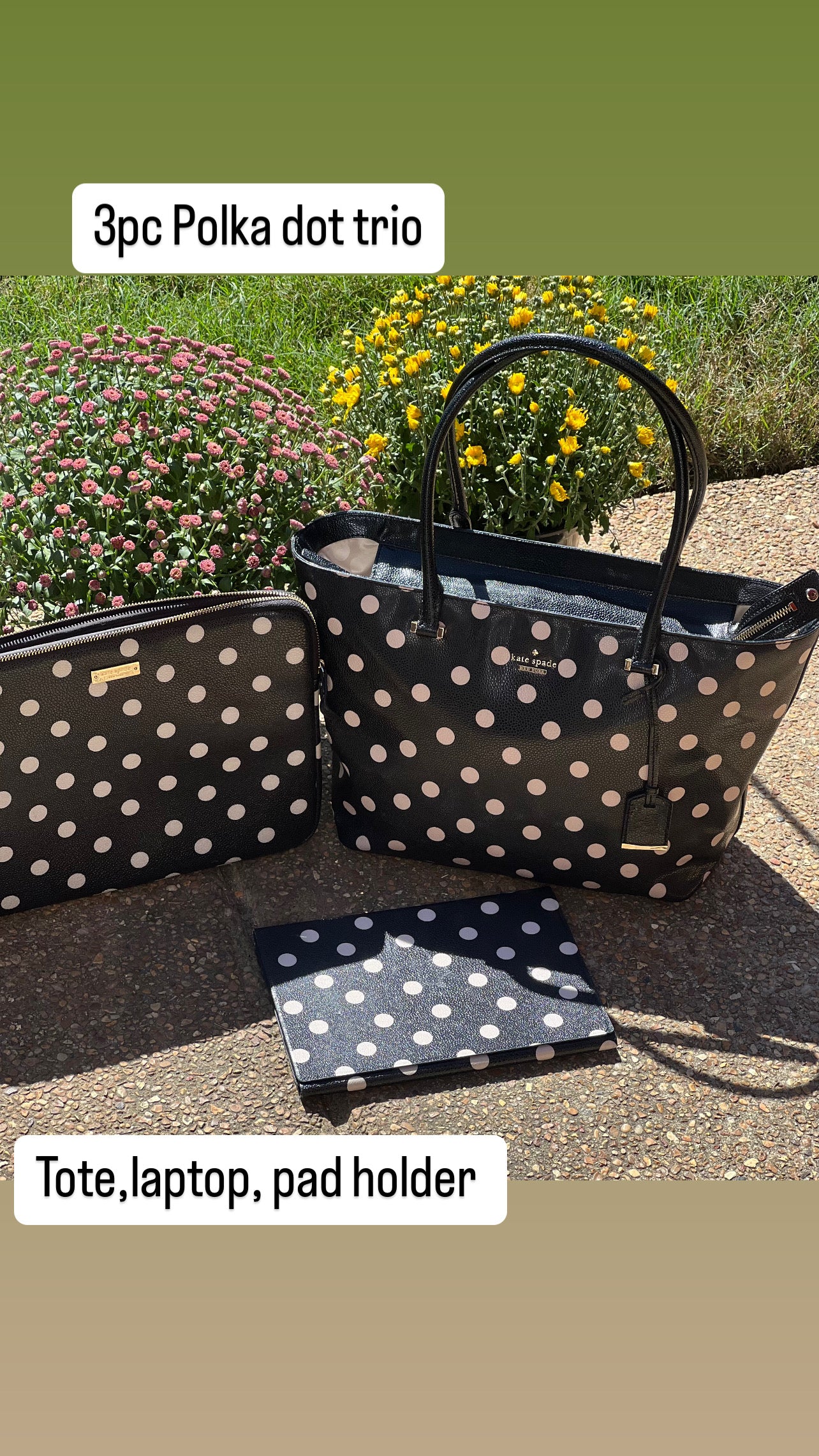 Kate Spade polka dot 3pc trio