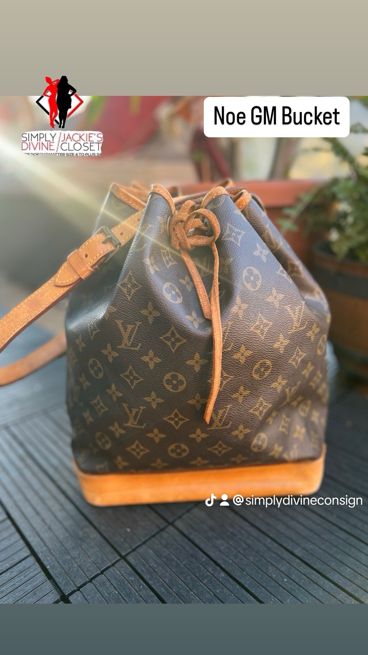 Louis Vuitton Noe GM