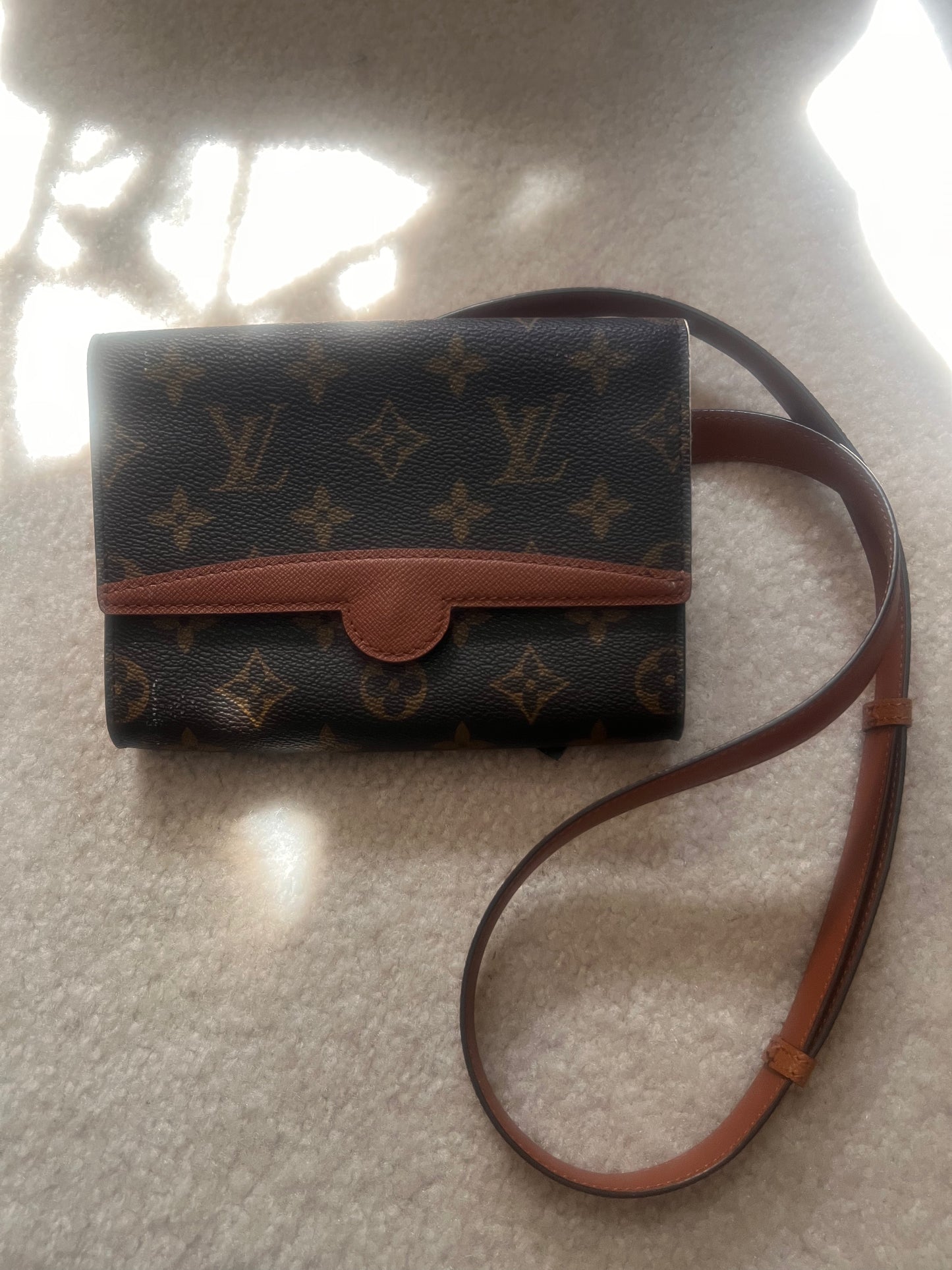 Louis Vuitton Pochette Ceinture