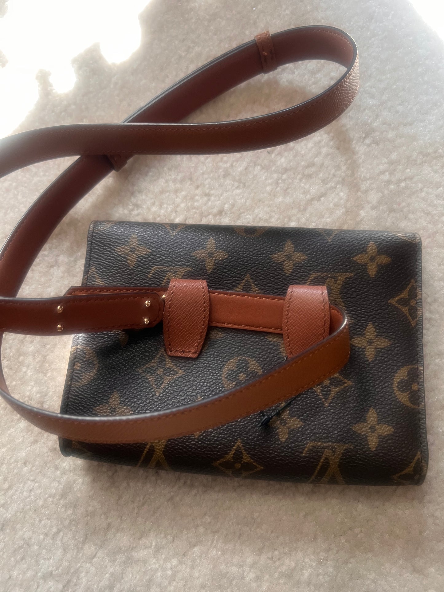 Louis Vuitton Pochette Ceinture