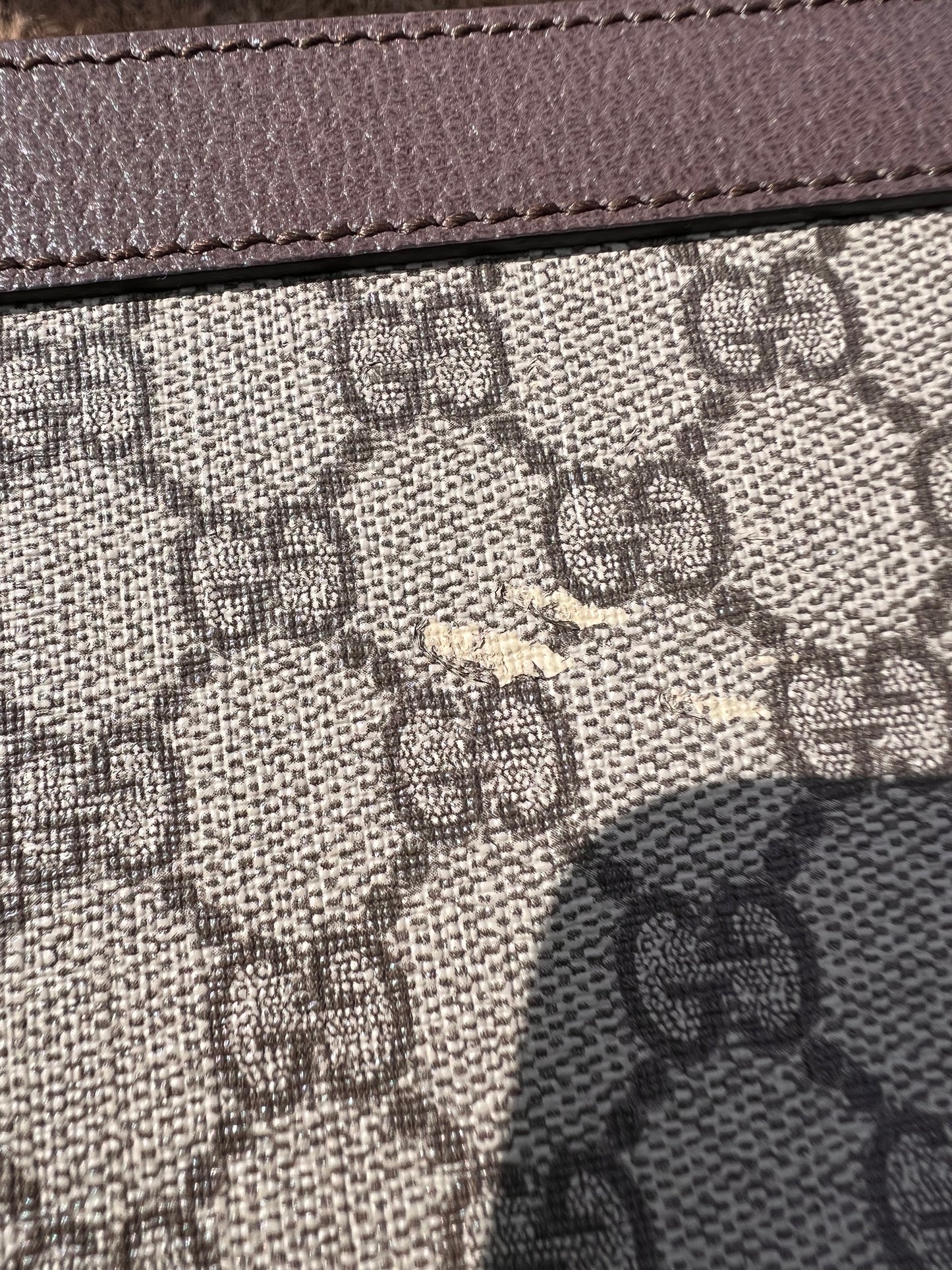 Gucci Ophidia Crossbody