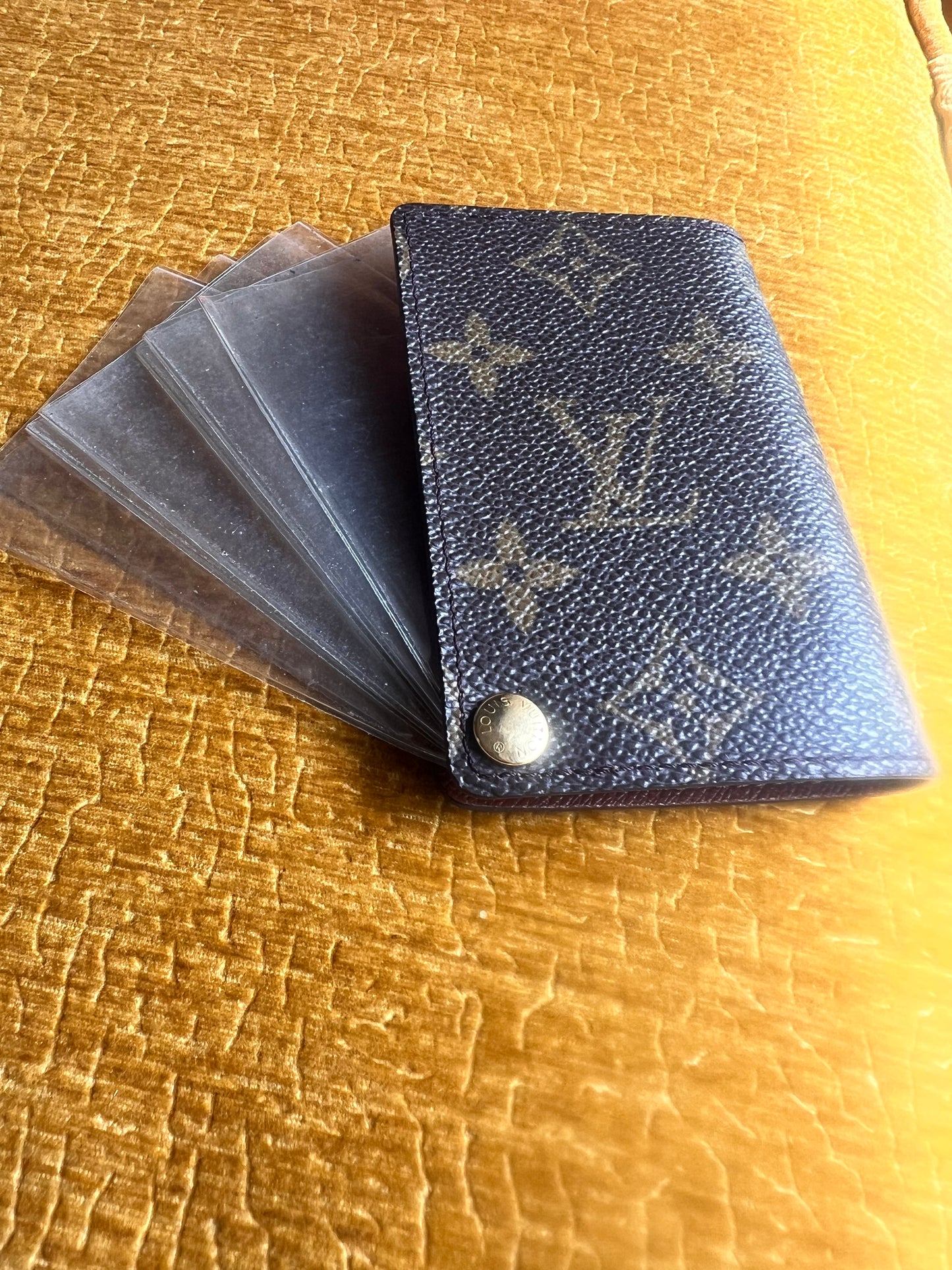 Louis Vuitton Case