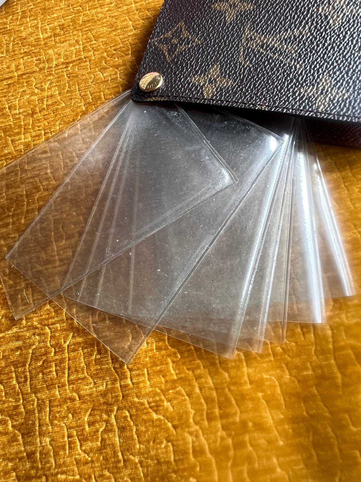 Louis Vuitton Case