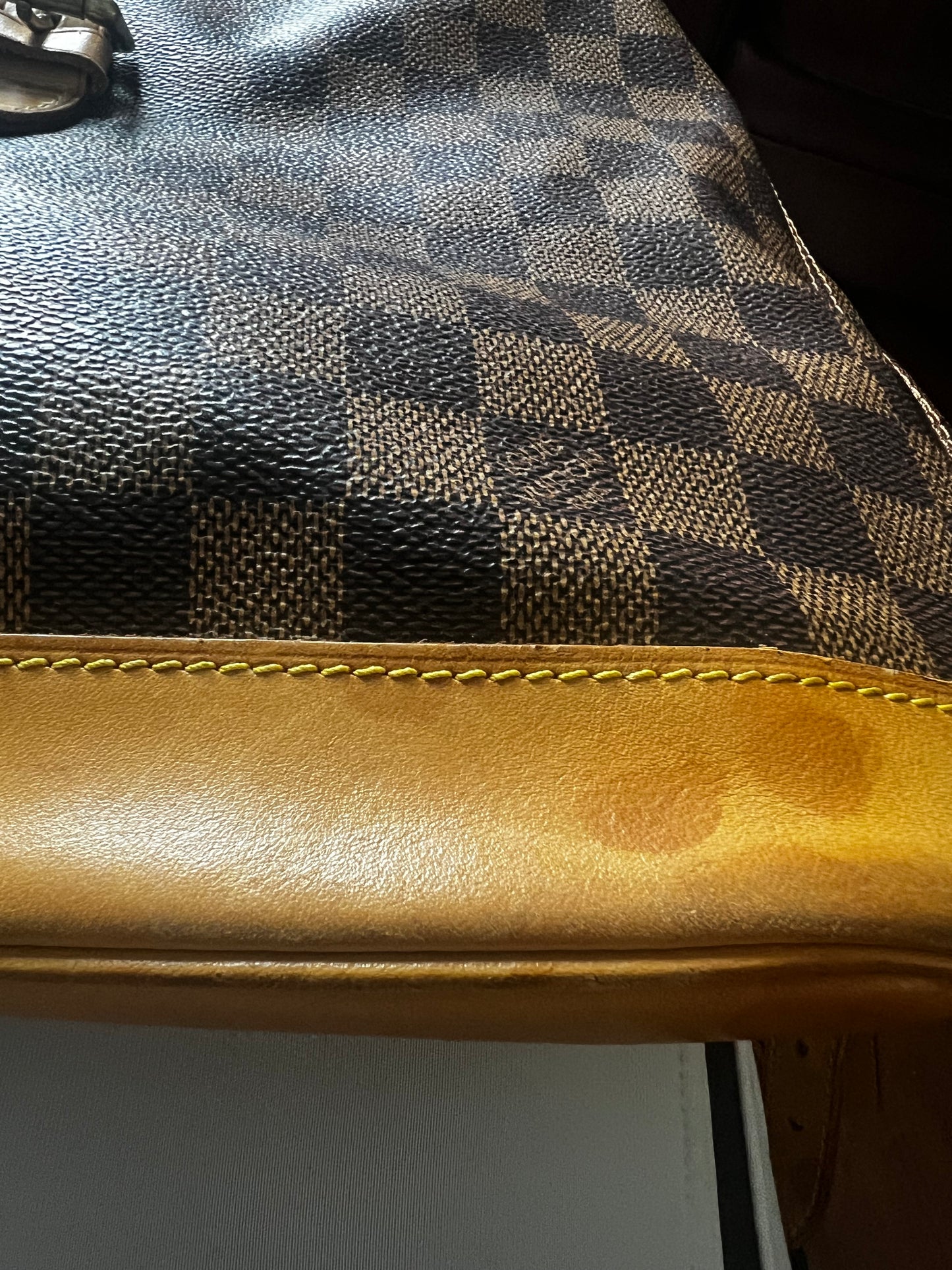 Louis Vuitton Limited Edition Soho Backpack