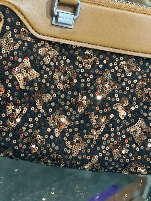 Louis Vuitton Limited Edition Glitter Sunshine