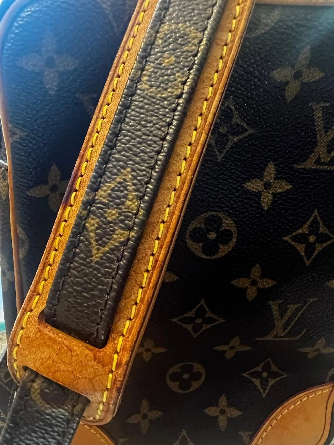 Louis Vuitton Monogram Amazone