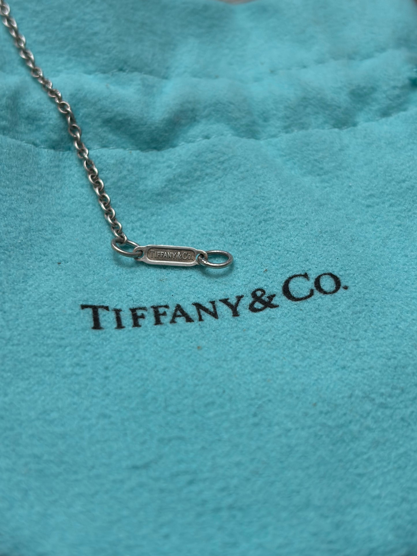 Tiffany & Co lock 1837 necklace