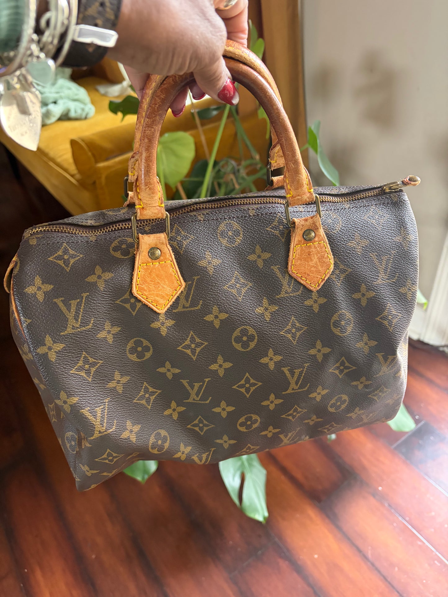 Louis Vuitton Speedy 30