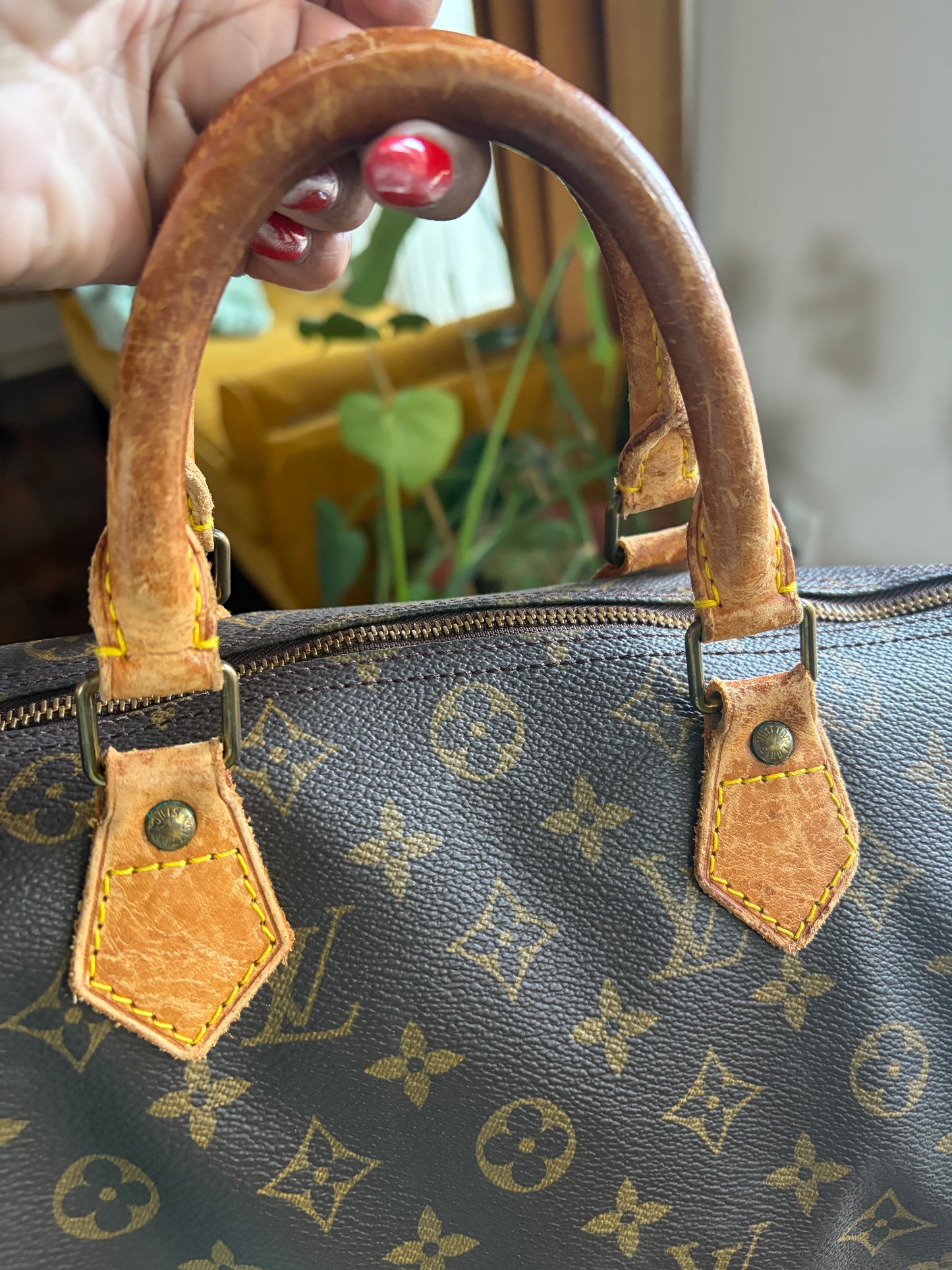 Louis Vuitton Speedy 30