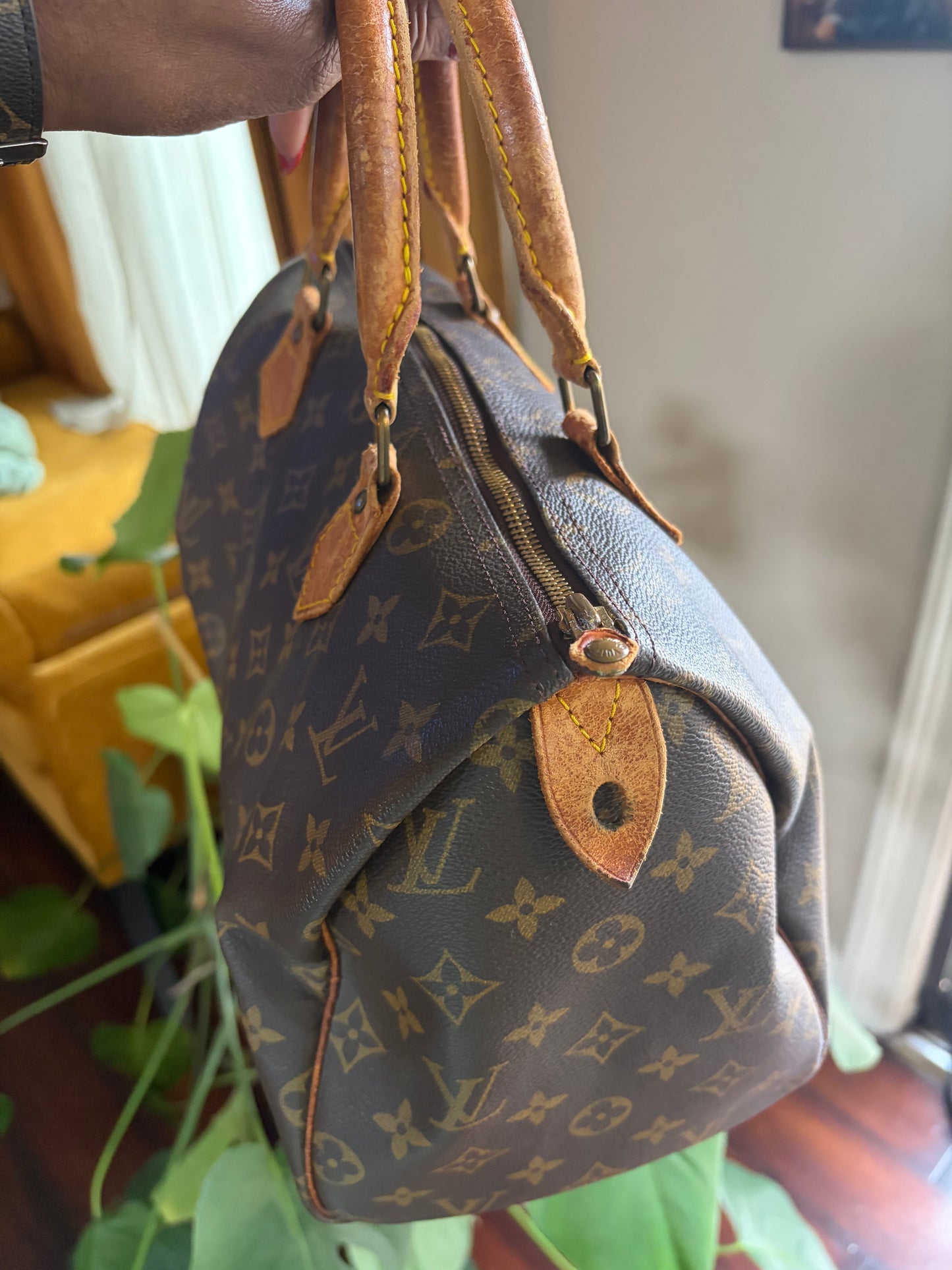 Louis Vuitton Speedy 30