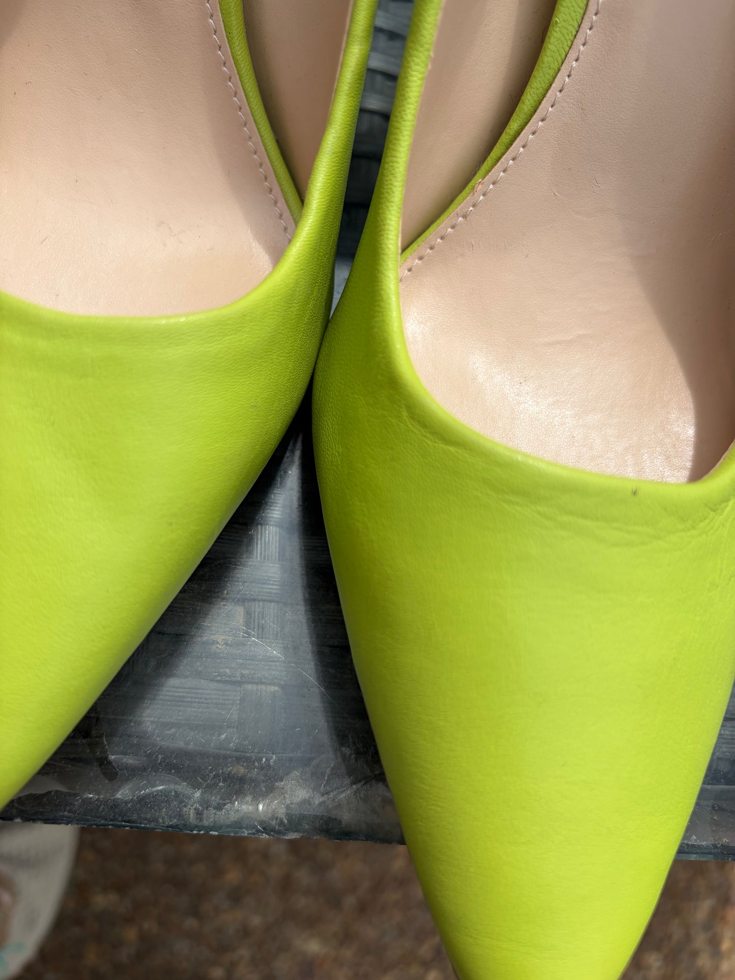 Vince Camuto Heel Size 10