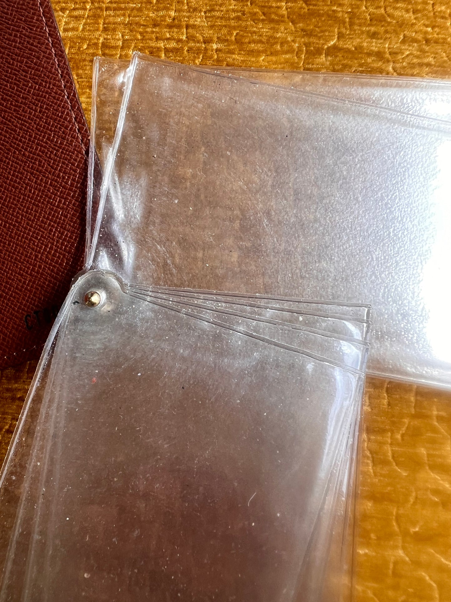 Louis Vuitton Case