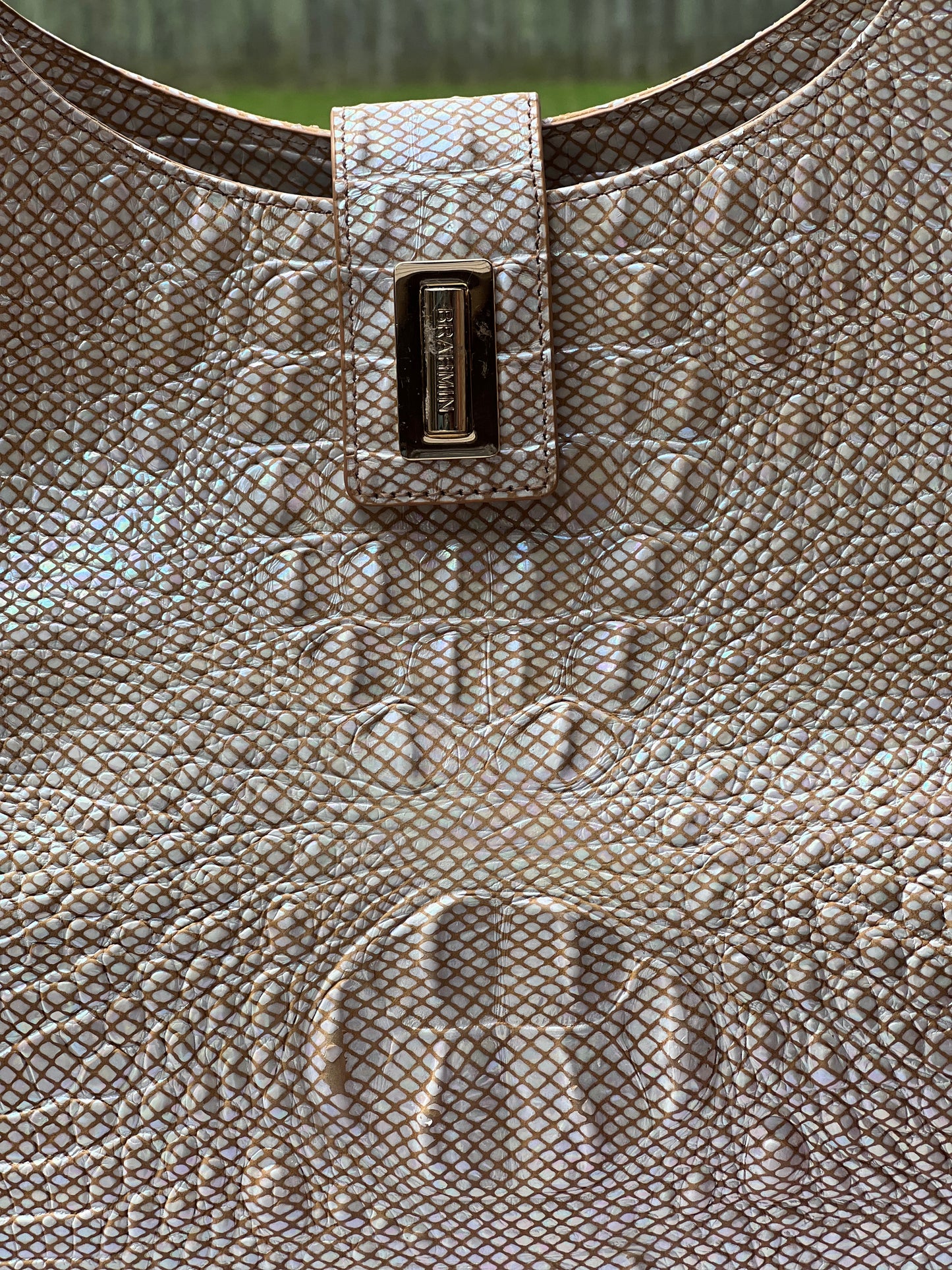Brahmin Fallon handbag