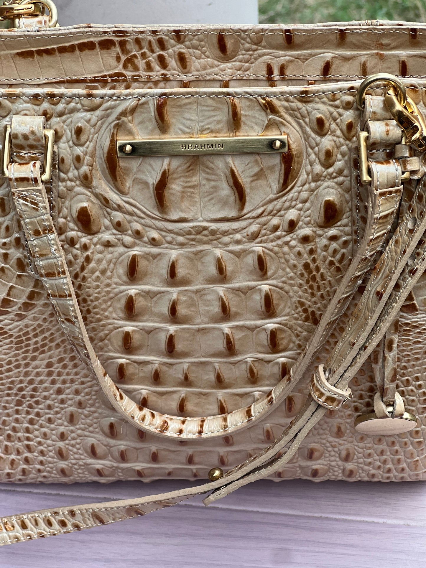 Brahmin Medium Asher Tote