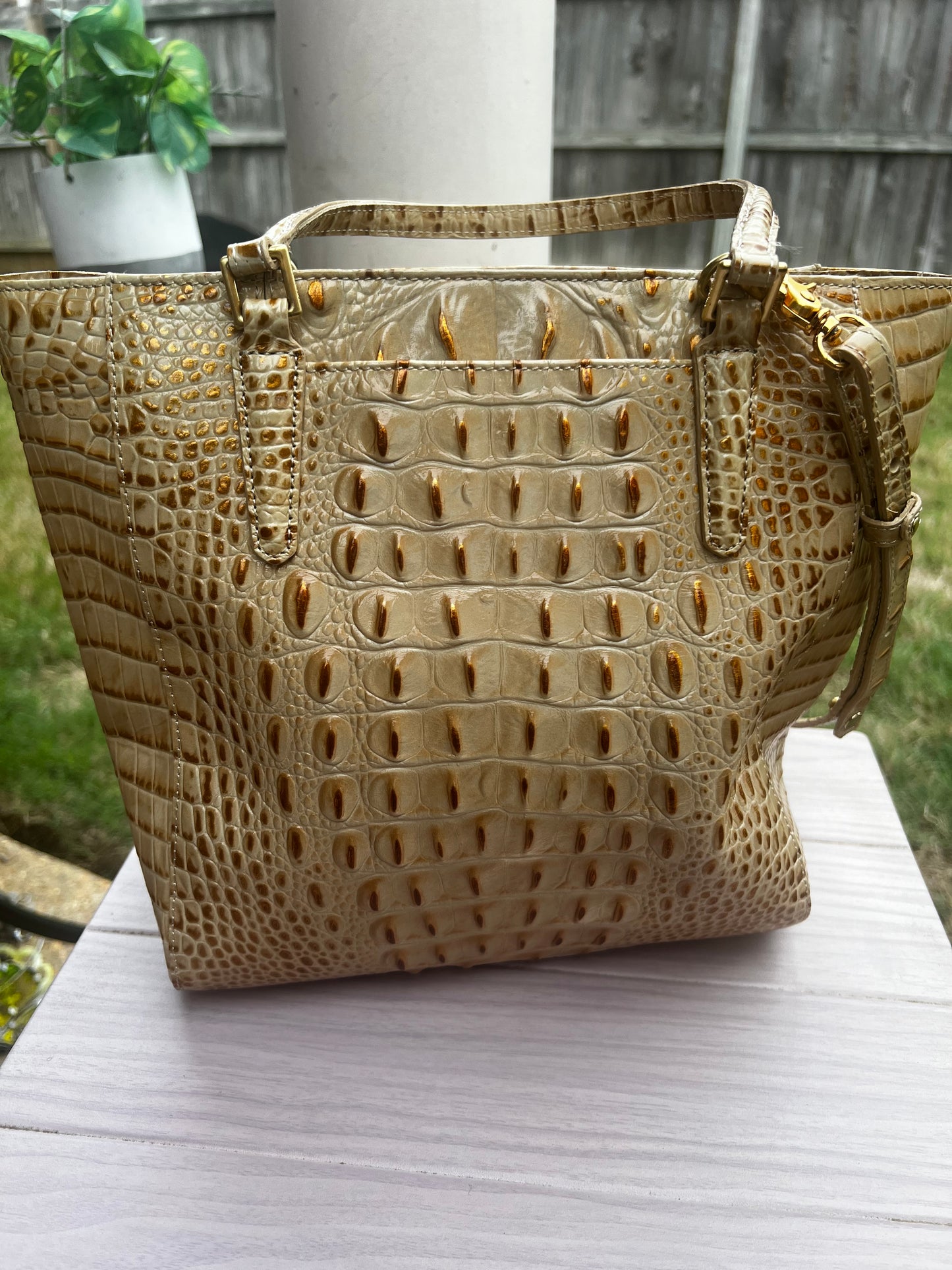 Brahmin Medium Asher Tote